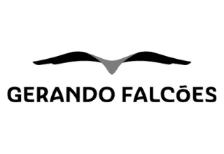 https://www.kallas.com.br/wp-content/uploads/2025/03/GERANDO-FALCOES.png
