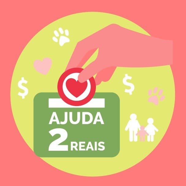 Imagens de ações da empresa Kallas